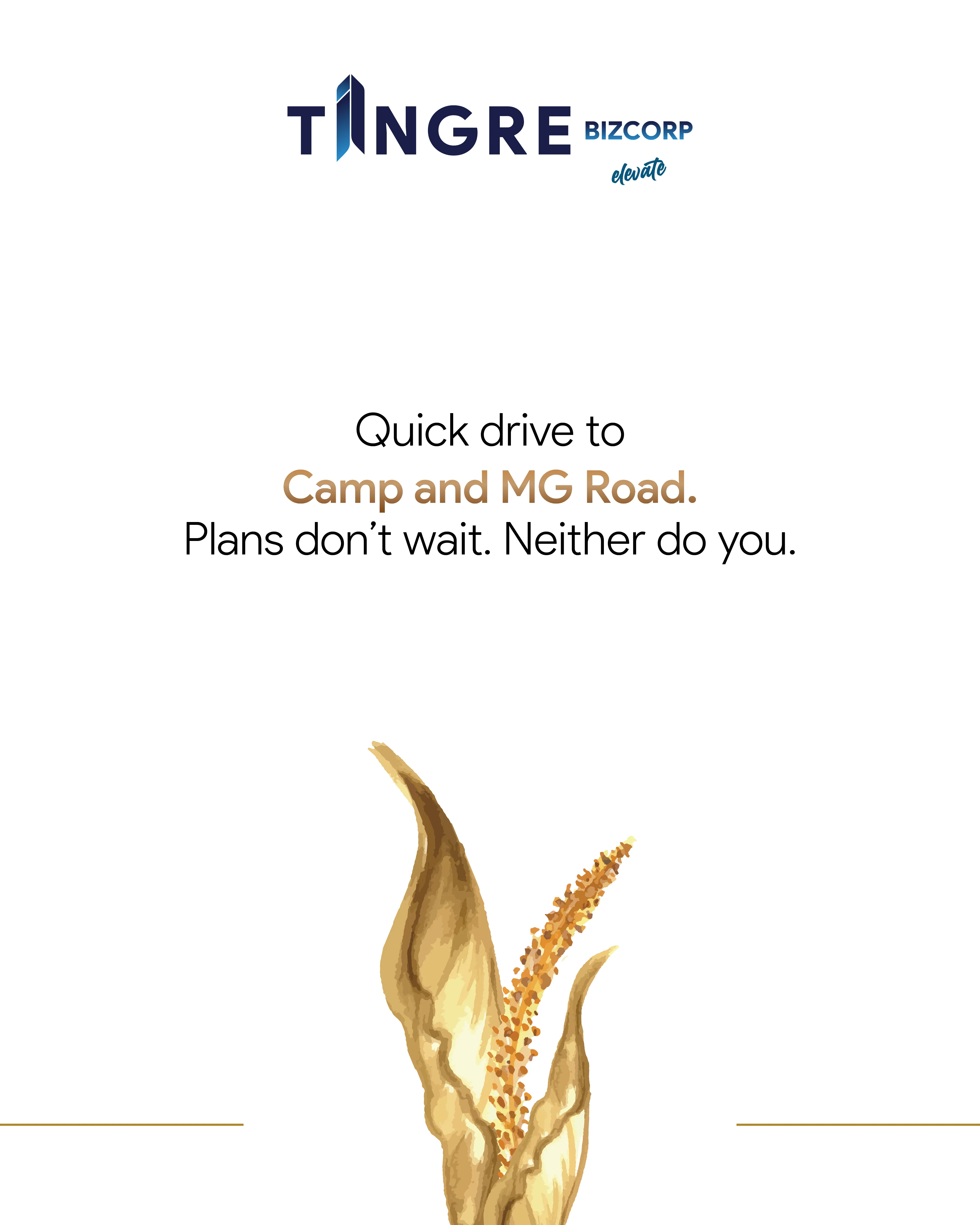 Tingre Bizcorp creative 12